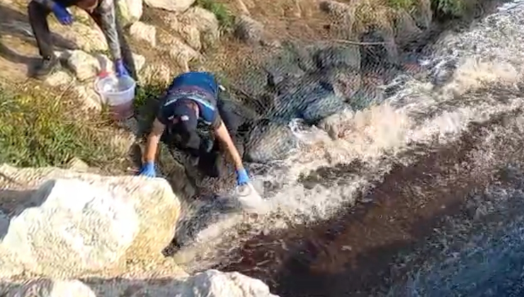 11 tesise "Ceyhan" cezası: 10 milyon TL