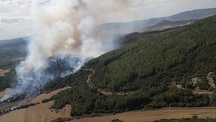 Çanakkale'de çıkan orman yangını söndürüldü