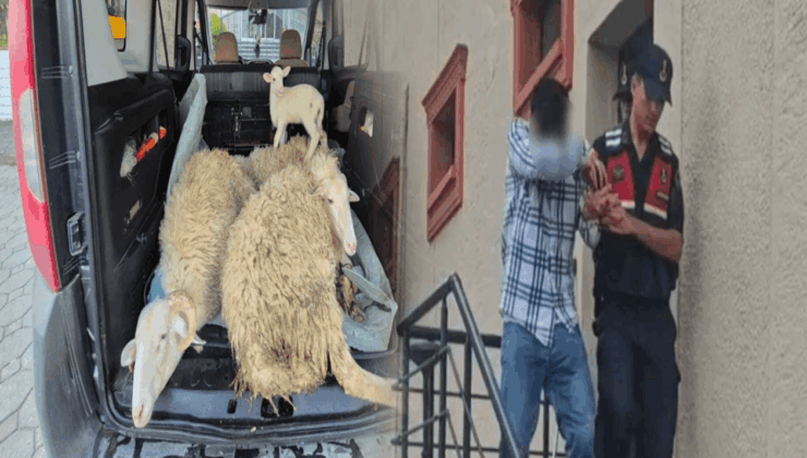 Kurbanlıkların parasını ödemeden kaçan evli çift yakalandı