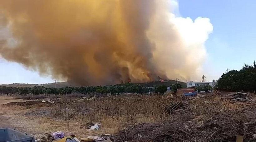 İzmir'de orman yangını! Evler tahliye edildi - Resim : 1