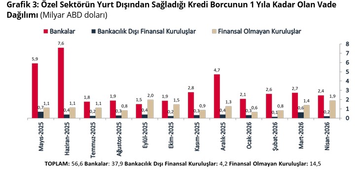 TCMB açıkladı: Özel sektörün yurt dışından sağladığı toplam kredi borcu arttı - Resim : 3
