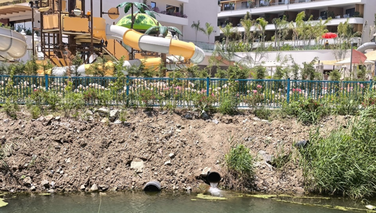Bu görüntüye ceza yağdı! Cezası iki katına çıkarıldı!