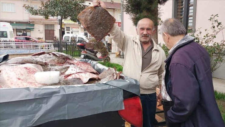Servet değerindeki balıklar halka ücretsiz dağıtılmıştı: Nedeni belli oldu