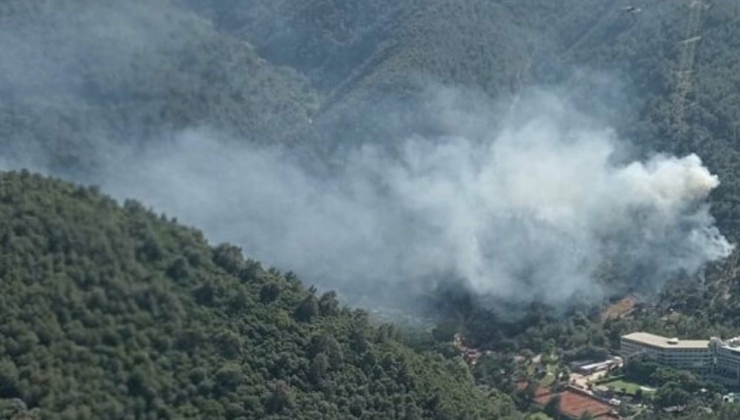 7 ilde orman yangını: Havadan ve karadan müdahale sürüyor