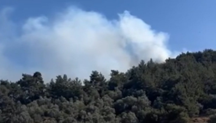 İzmir Dikili ve Narlıdere'de orman yangını