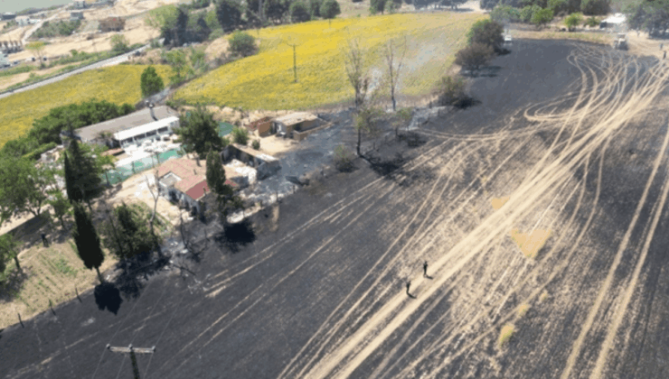 Trakya'da iki haftada 2 bin 750 dekar ekili alan yandı