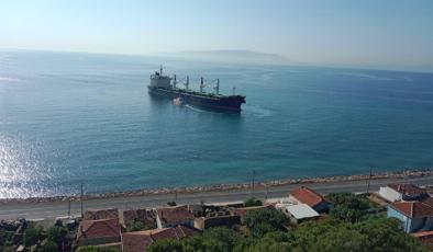 Tekirdağ'da kuru yük gemisi karaya oturdu