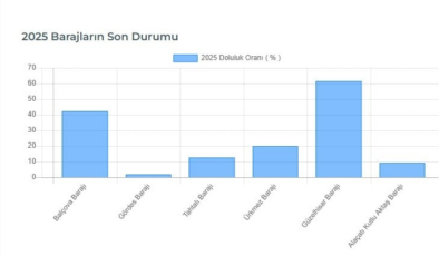 Yaz tatili yeni başlarken bölgenin barajında sadece yüzde 9 kaldı