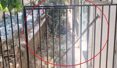 Kalıp sökerken 5'inci kattan düştüler!
