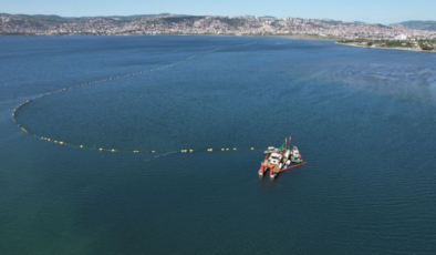 İzmit Körfezi'nde sevindiren gelişme