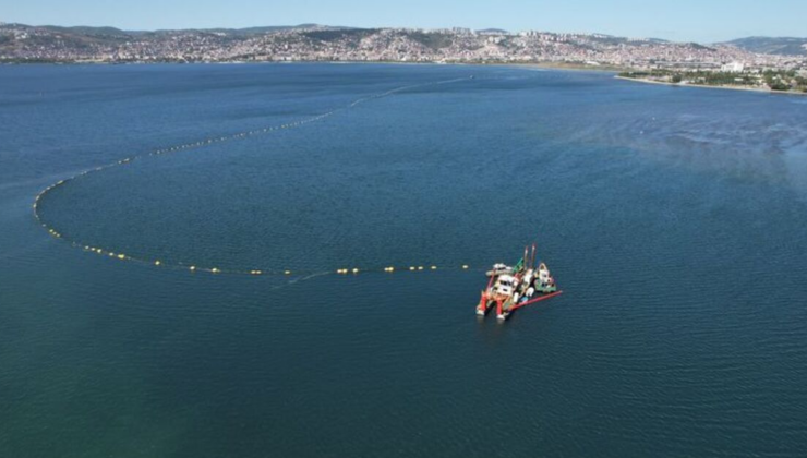 İzmit Körfezi'nde sevindiren gelişme