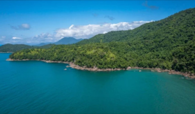 Deniz kıyısındaki ormanlık alanlar turizme açıldı