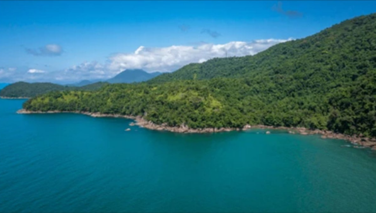 Deniz kıyısındaki ormanlık alanlar turizme açıldı