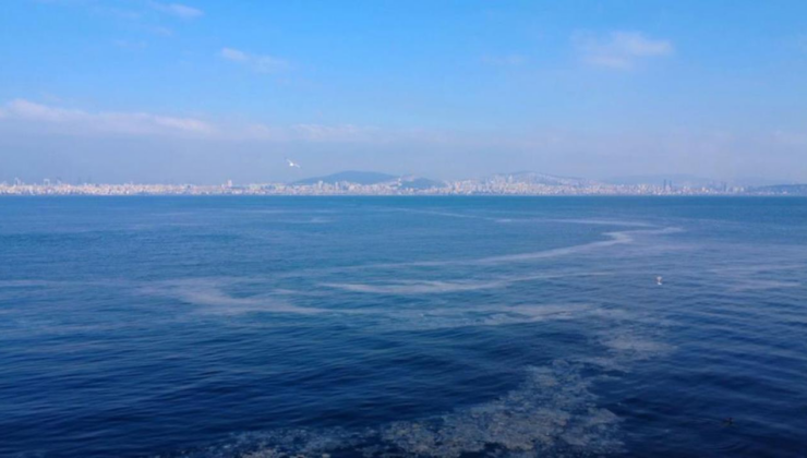 Marmara Denizi'nde ara tabakadaki müsilaj yoğunluğu sürüyor