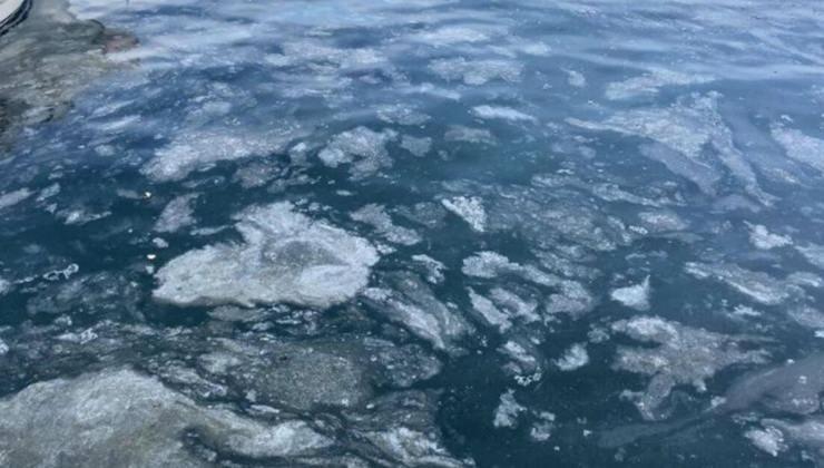 Çanakkale Boğazı'ndan sevindiren haber
