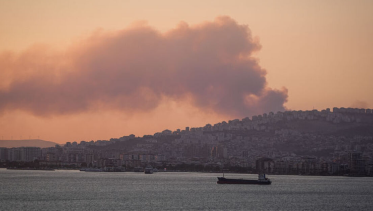 İzmir'de yine orman yangını!