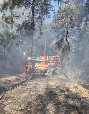 Antalya'da 2 bölgede orman yangını!