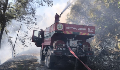 Hatay'da orman yangını: Karadan ve havadan müdahale sürüyor