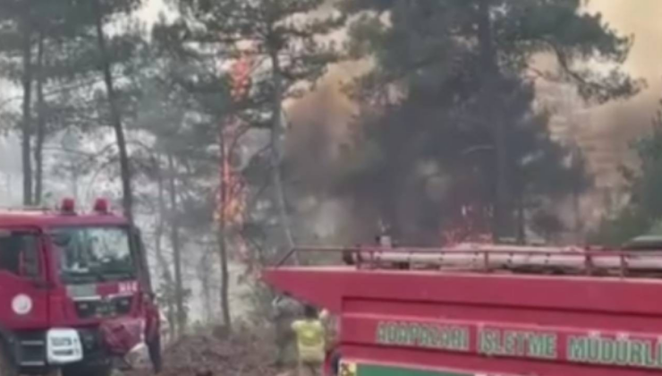 Alevlerin ortasında kalan itfaiyecilerin ölüm kalım savaşı: Yanacağız, geri gel. Haydi yandık(Video)