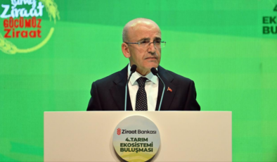 Bakan Şimşek: Evlerde kullanılan elektriğin yüzde 55'ini, doğal gazın yüzde 65'ini devlet sübvanse ediyor