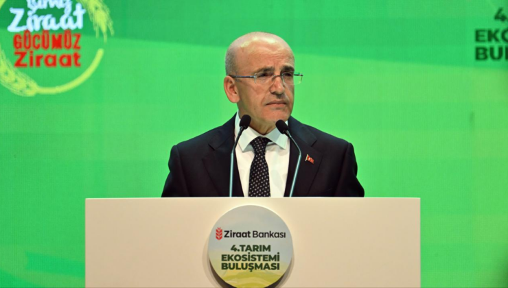 Bakan Şimşek: Evlerde kullanılan elektriğin yüzde 55'ini, doğal gazın yüzde 65'ini devlet sübvanse ediyor