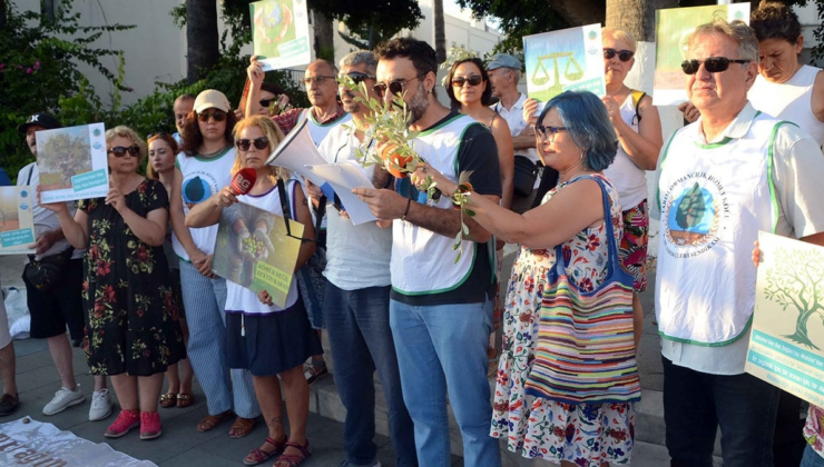 Bodrum’da zeytinlik için eylem