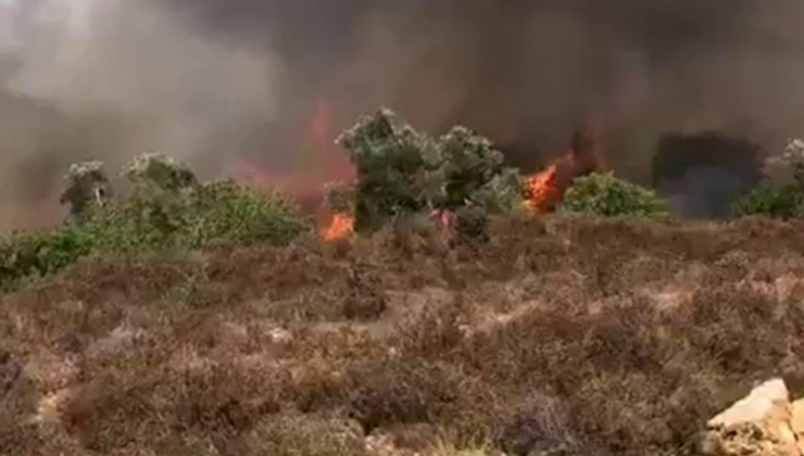 Yahudi işgalciler, Filistinlilere ait arazileri ateşe verdi