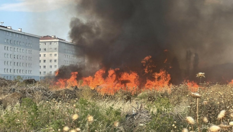 Çanakkale’de otluk yangını: Ekipler seferber oldu