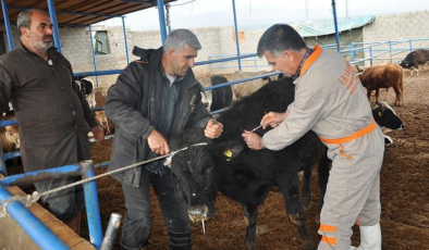 Yeni salgın patladı, o bölgeye giriş çıkışlar kapatıldı
