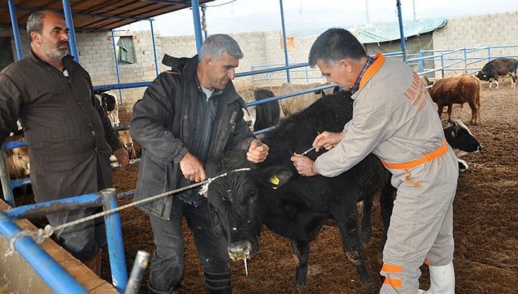 Yeni salgın patladı, o bölgeye giriş çıkışlar kapatıldı