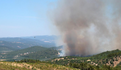 Manisa'da orman yangınına neden olan kişi tutuklandı