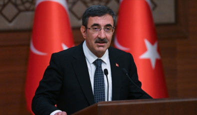Cumhurbaşkanı Yardımcısı Yılmaz'dan orman yangınları açıklaması