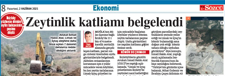 Limak: Zeytinlerin ‘etrafında’ maden arıyoruz