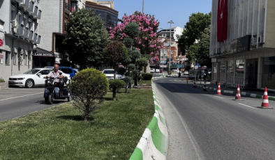 İklim değişikliğiyle mücadelede kent peyzajının rolü büyük