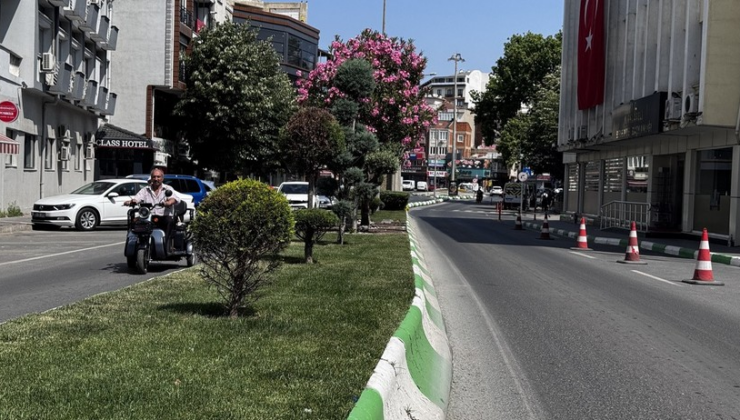 İklim değişikliğiyle mücadelede kent peyzajının rolü büyük