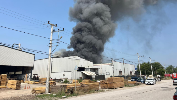 Kocaeli'de fabrika yangını