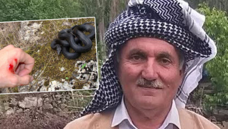 Hayvanları için ot biçiyordu görmedi… Isırdı ve öldürdü!