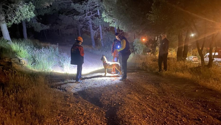 Pendik'te ormana giren şahıs için arama başlatıldı