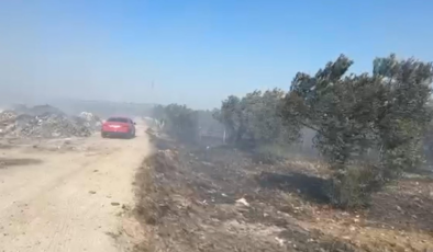 Balıkesir'de çöplükte başlayan yangın tarım arazisine sıçradı
