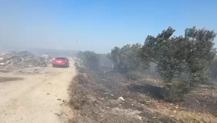 Balıkesir'de çöplükte başlayan yangın tarım arazisine sıçradı