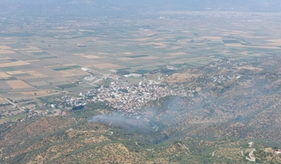 Aydın'da tarım arazisi küle döndü