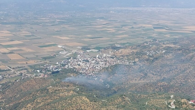 Aydın'da tarım arazisi küle döndü