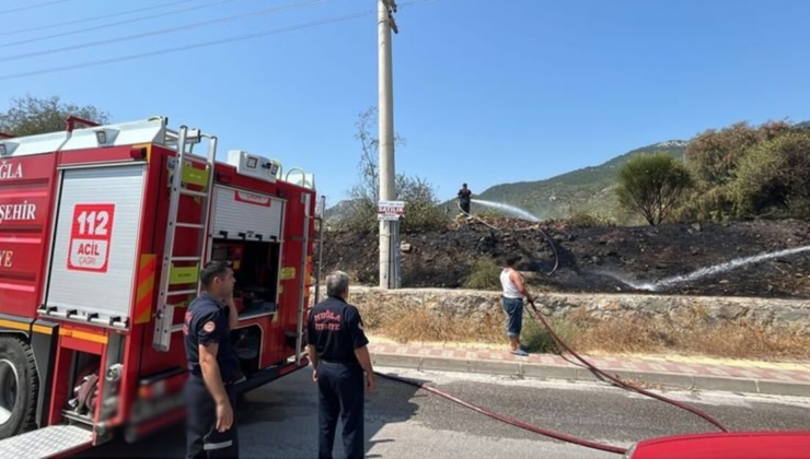 Bodrum'da otluk alan yangını