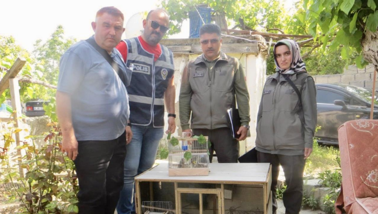 Saka kuşu ticareti yapan kişiye 77 bin 600 lira ceza