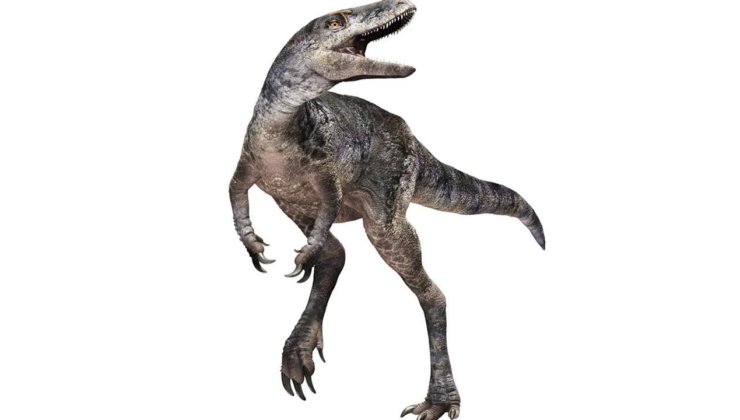 Yeni keşfedilen dinozor türü T.rex'in aile ağacını değiştiriyor