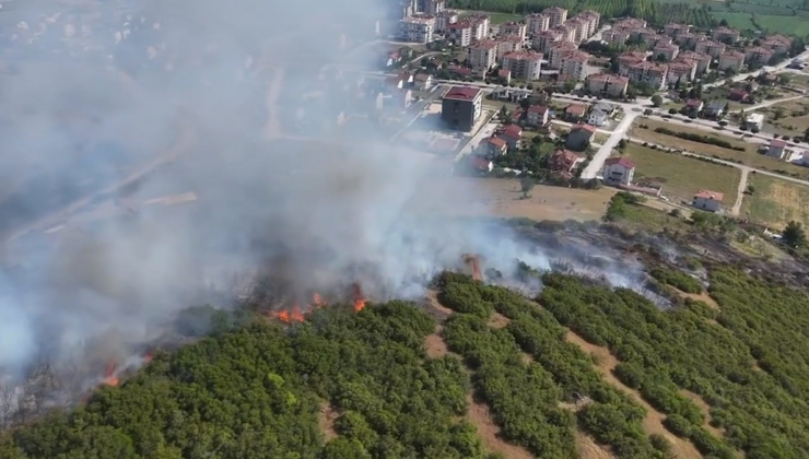 Tokat’ta yangın: 15 dönüm alan küle döndü