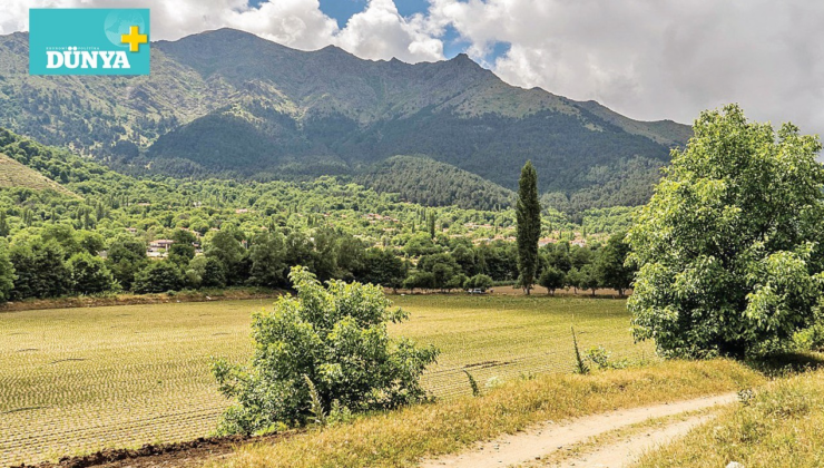 Efeler Yolu’ndan