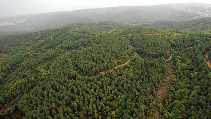 Ankara'da ormanlarda ateş yakılması yasaklandı