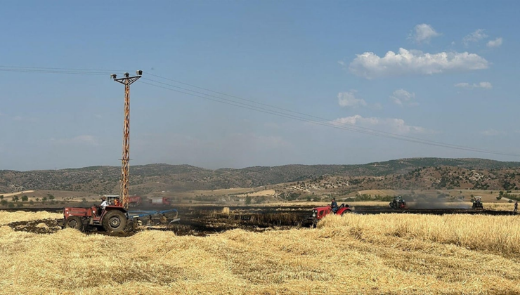Manisa'da peş peşe yangınlar