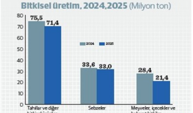 Bitkisel üretimde zorlu yıl: 2025’te soframız küçülecek